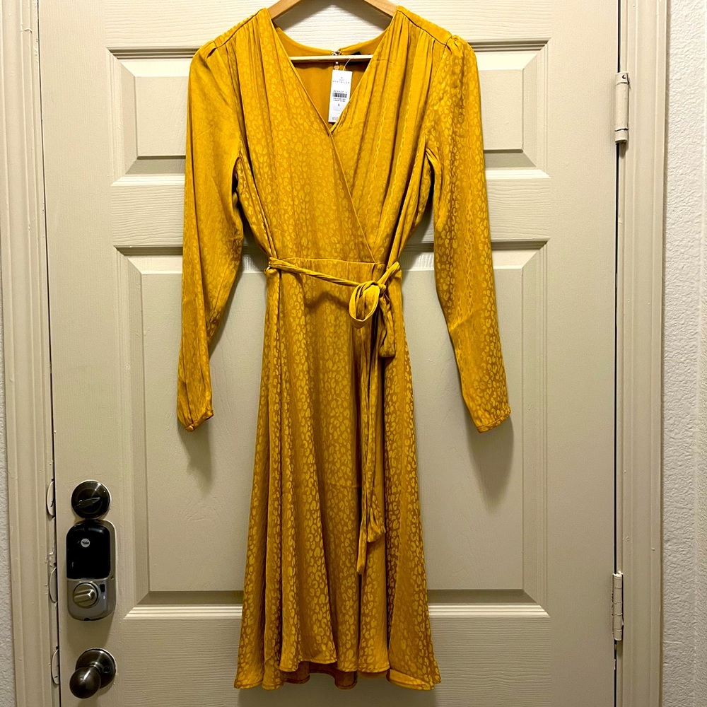 Ann Taylor Dress